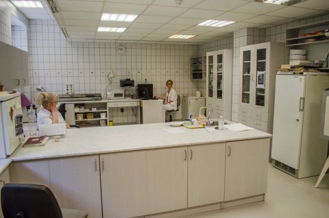 Leletező