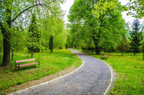 Park